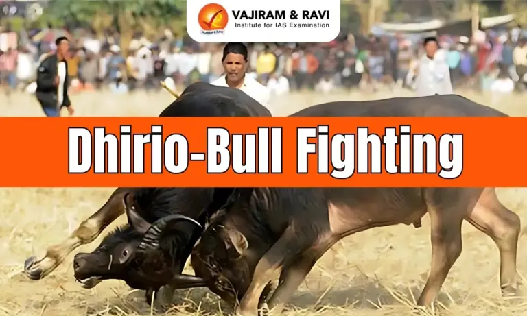 Dhirio-Bull Fighting