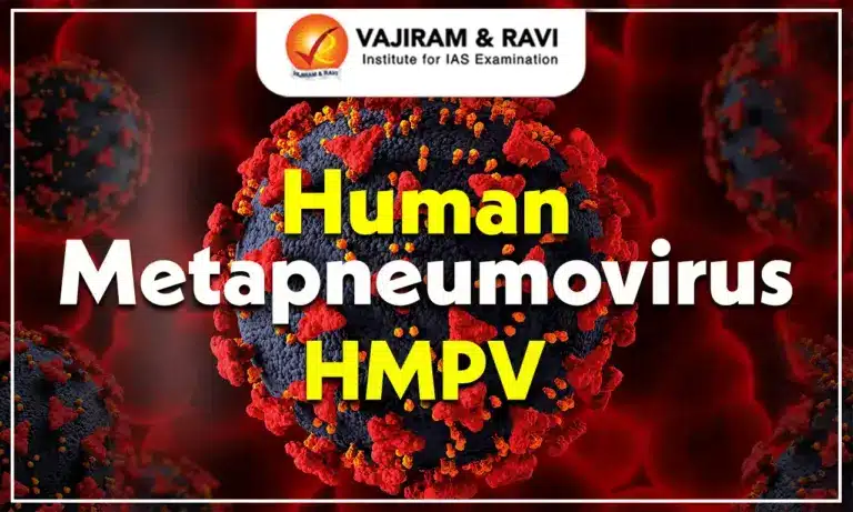 Human Metapneumovirus HMPV