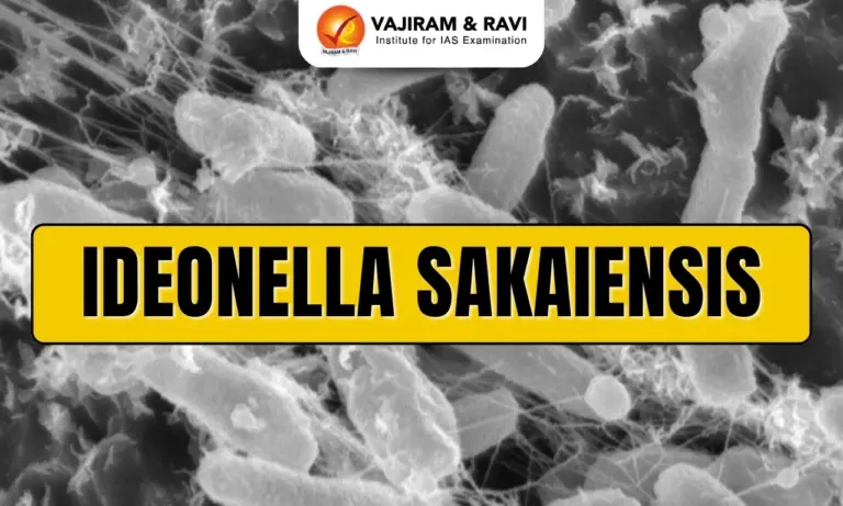 Ideonella Sakaiensis