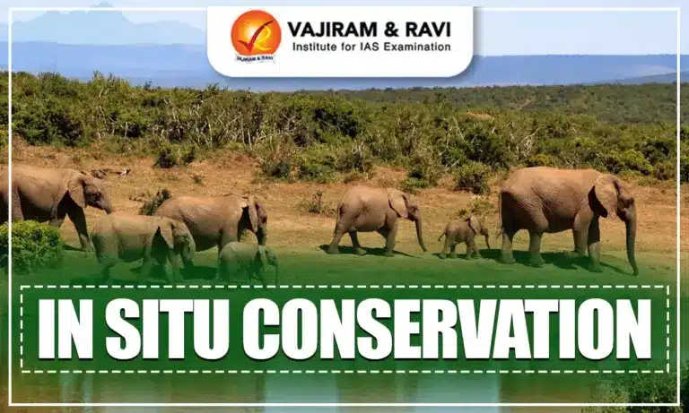 In Situ Conservation