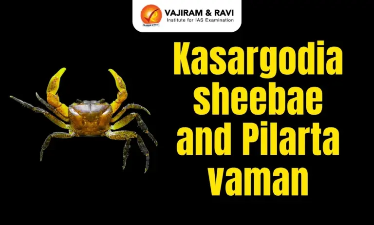 Kasargodia Sheebae and Pilarta Vaman