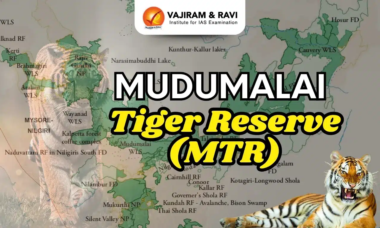 Mudumalai Tiger Reserve (MTR)