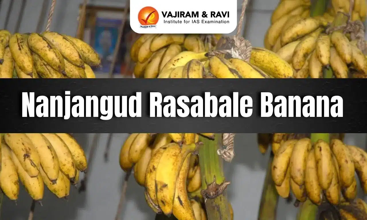 Nanjangud Rasabale Banana