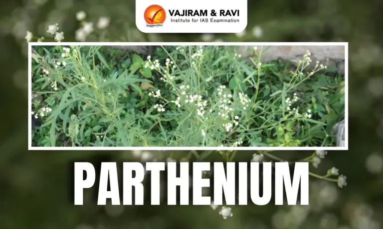 Heptapleurum assamicum