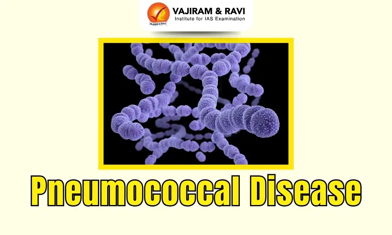 Pneumococcal Disease
