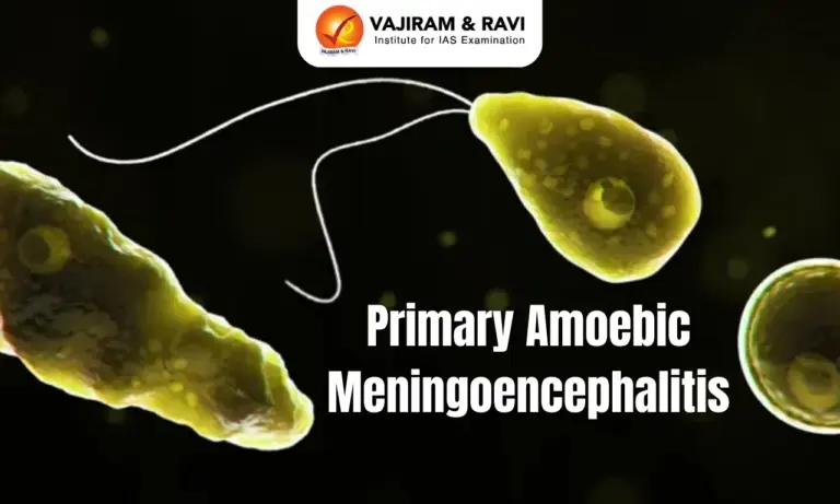 Primary Amoebic Meningoencephalitis
