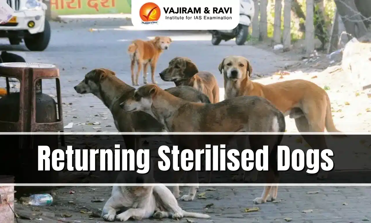 Returning Sterilised Dogs