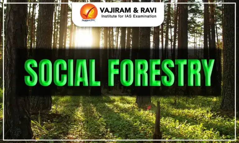 Social Forestry