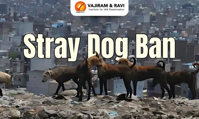Stray Dog Ban