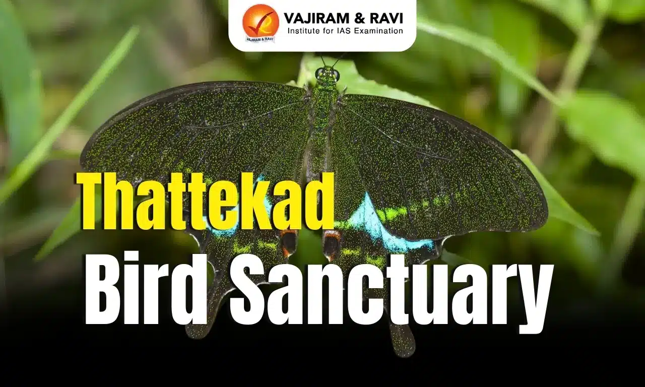 Thattekad Bird Sanctuary