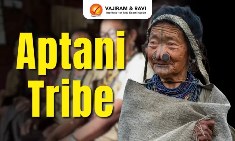 Apatani Tribes