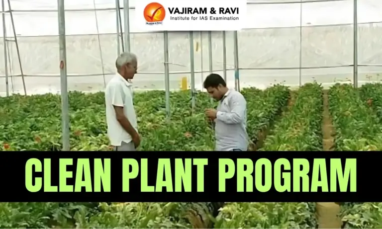 Clean Plant Programme