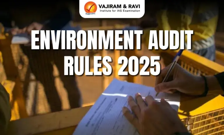 Environment Audit Rules 2025