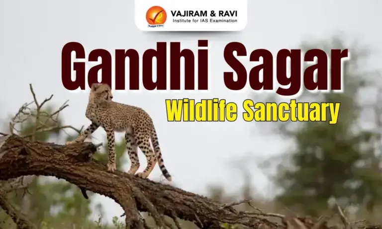 Gandhi Sagar Wildlife Sanctuary