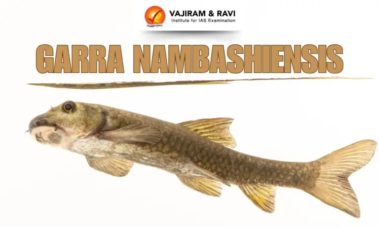 Garra nambashiensis
