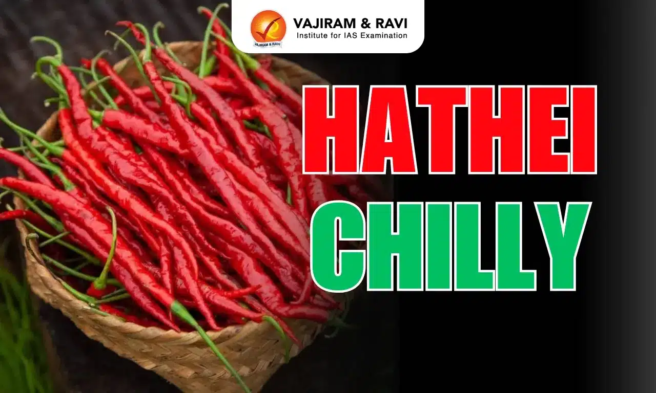 Hathei Chilli