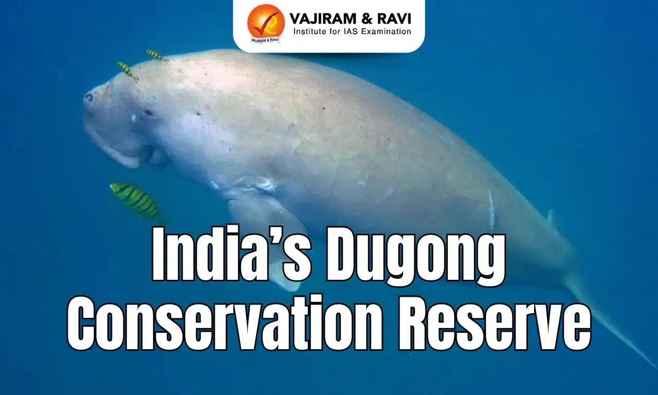 Dugong Conservation Reserve