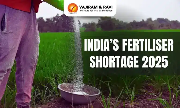 India’s fertiliser shortage 2025