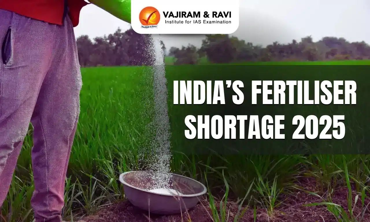 India’s fertiliser shortage 2025