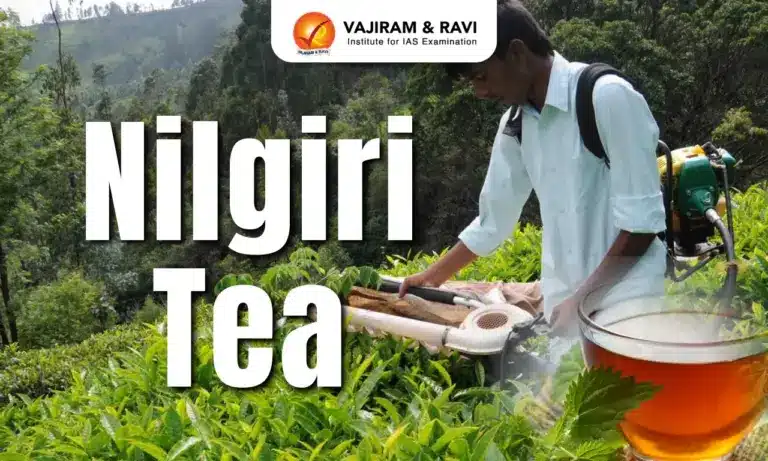 Nilgiri Tea