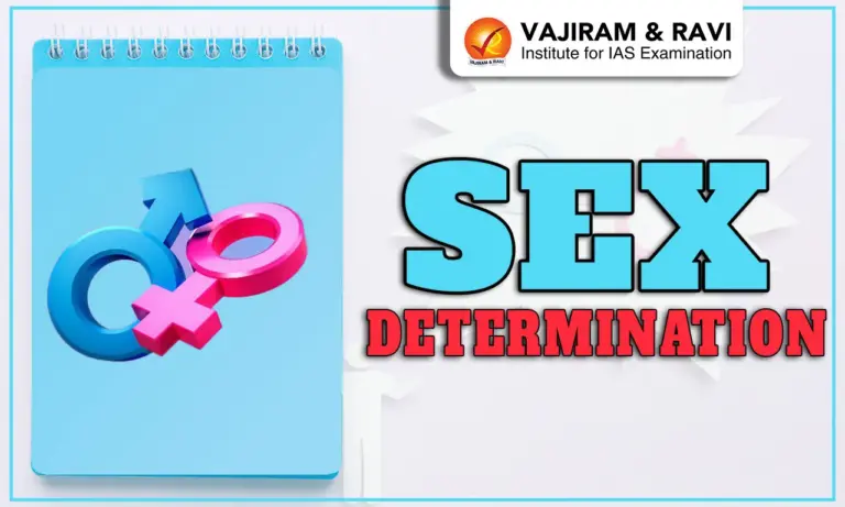 Sex Determination
