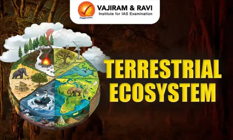 Terrestrial Ecosystem