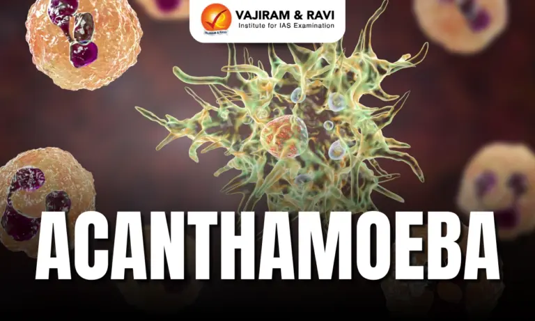 Acanthamoeba