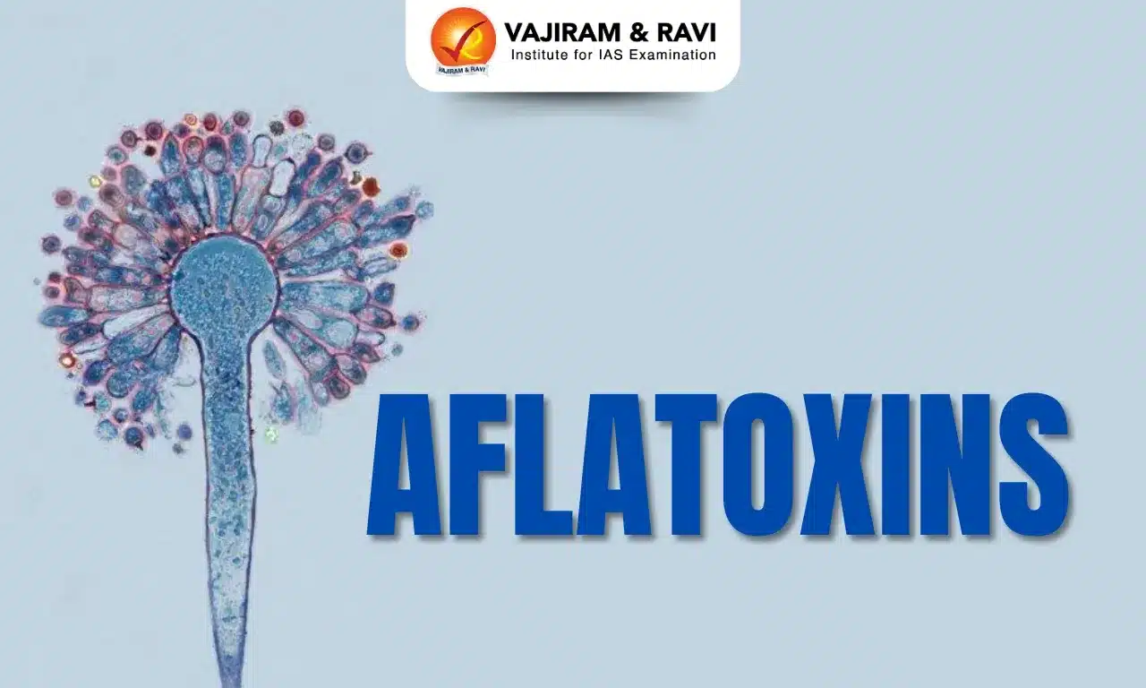 Aflatoxins