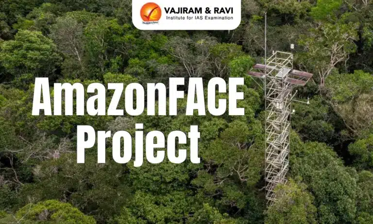 AmazonFACE Project