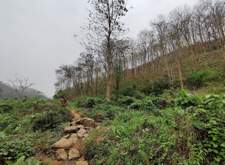 Amchang Wildlife Sanctuary