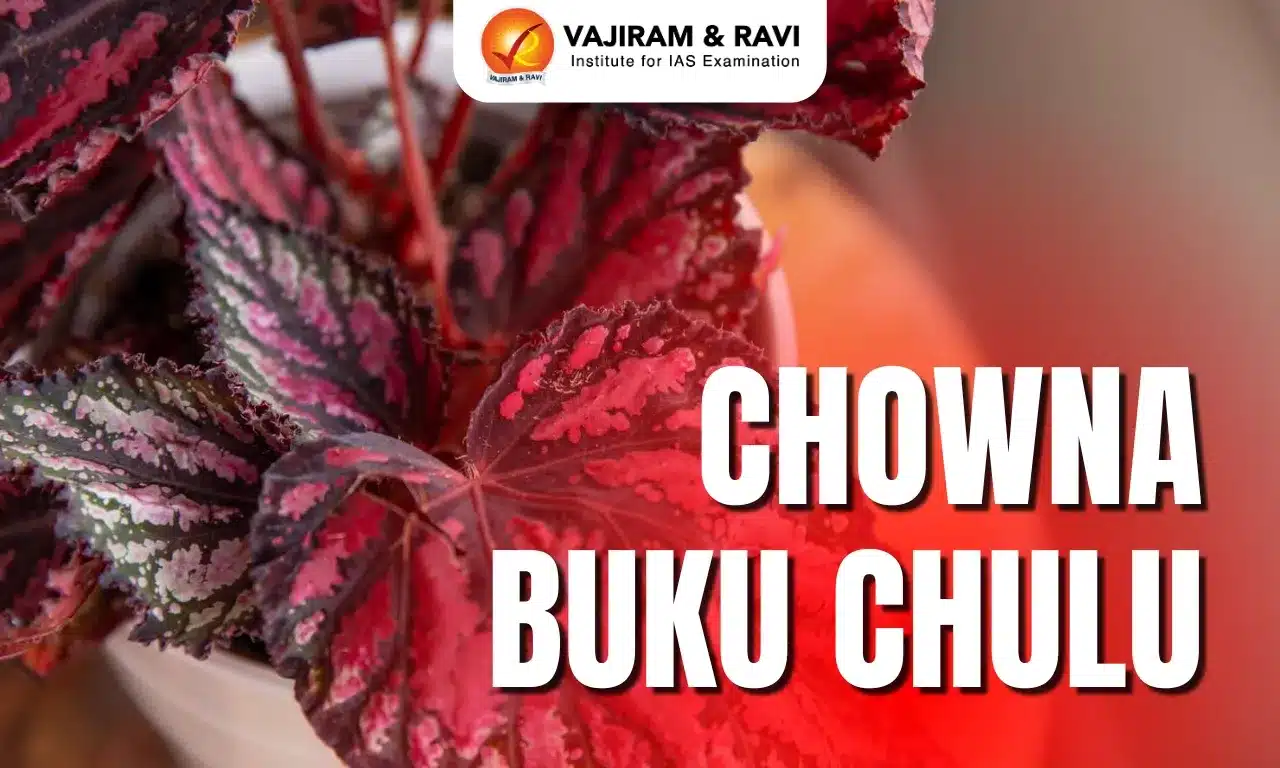 Chowna Buku Chulu