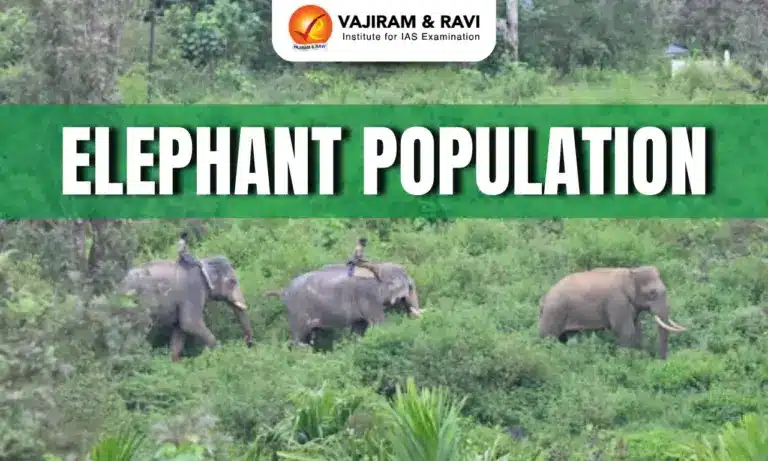 Elephant Population