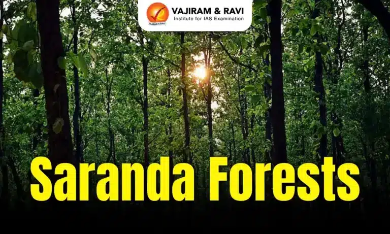 Saranda Forests