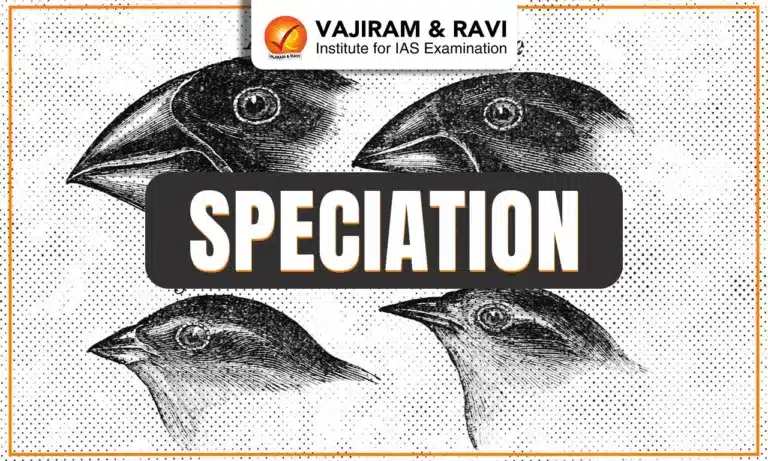 Speciation