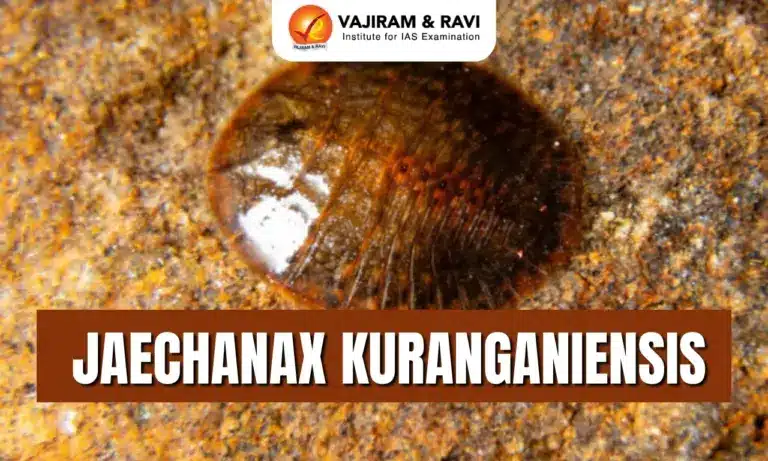 Jaechanax kuranganiensis