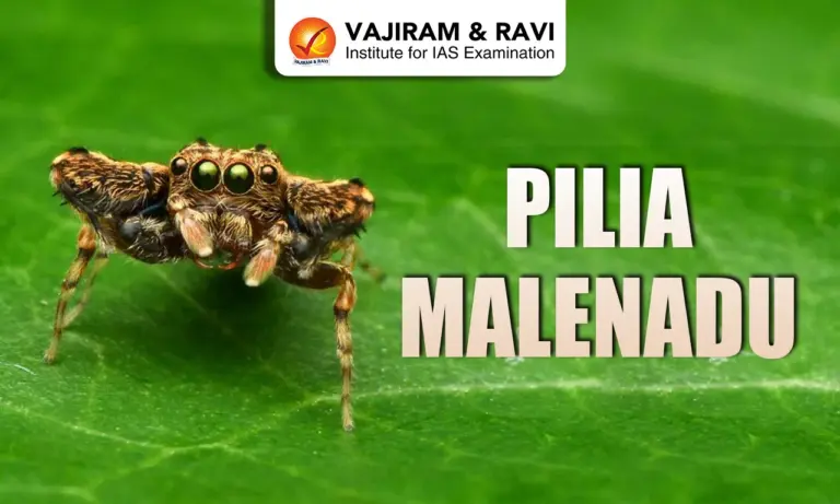 Pilia malenadu