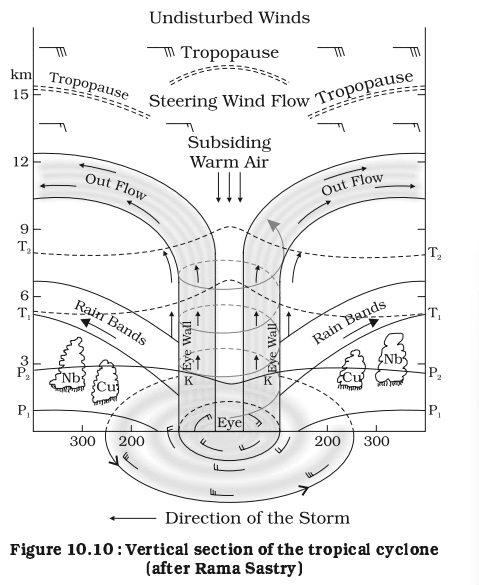 Tropical Cyclone Formation