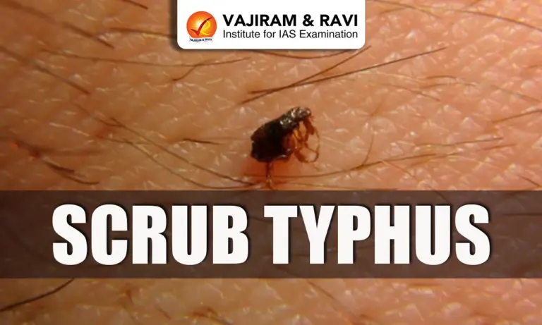 Scrub Typhus