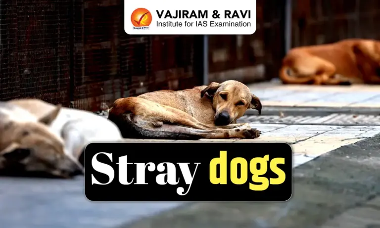Stray Dogs