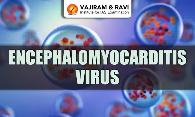 encephalomyocarditis virus