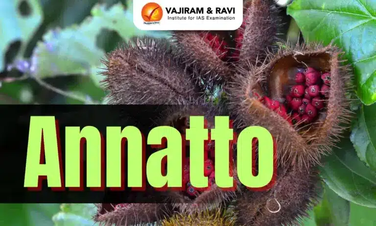 Annatto