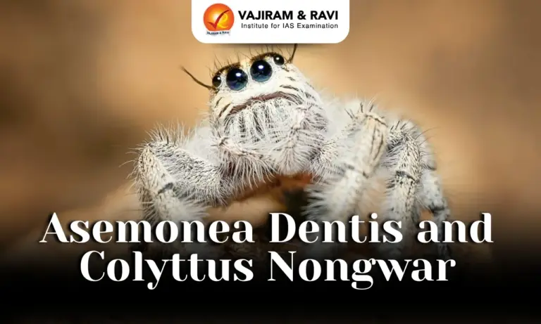 Asemonea Dentis and Colyttus Nongwar