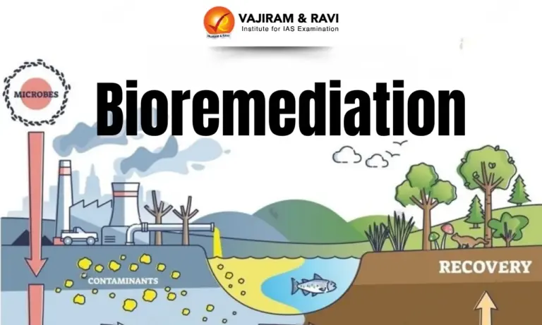 Bioremediation