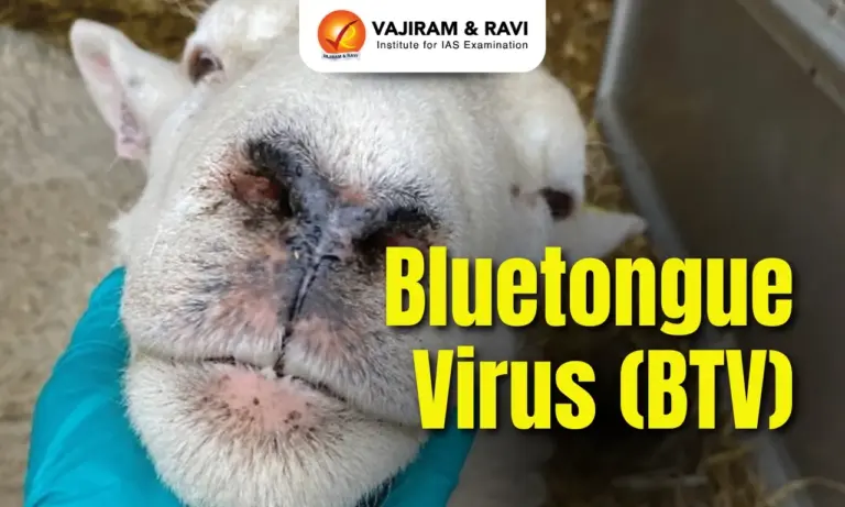 Bluetongue Virus