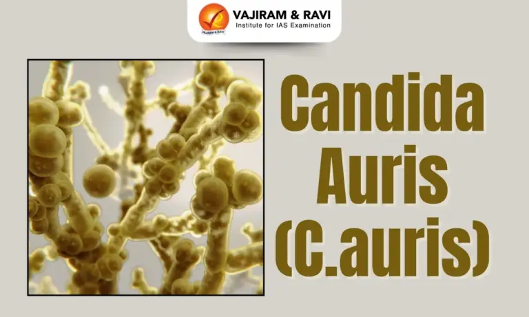 Candida auris (C.auris)