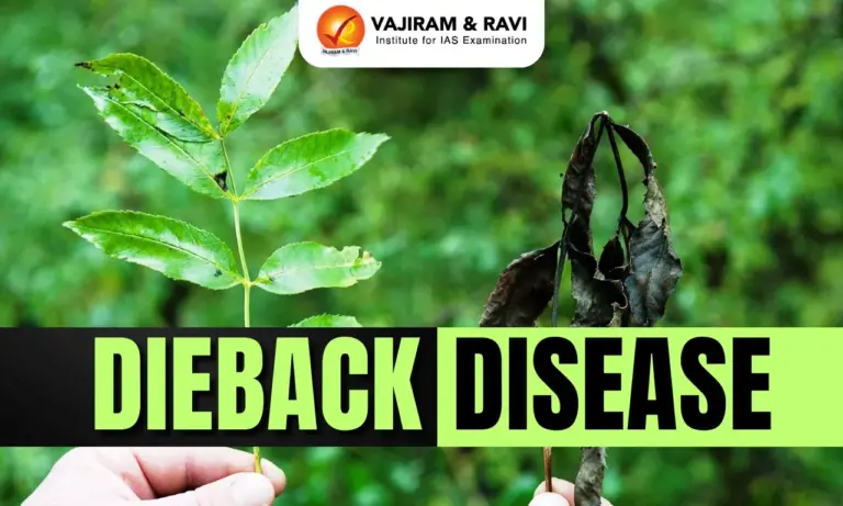 Dieback Disease