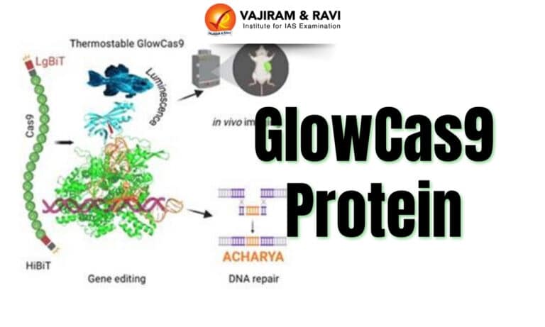 GlowCas9 Protein