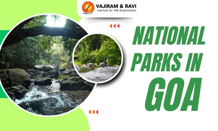 National Parks in Goa