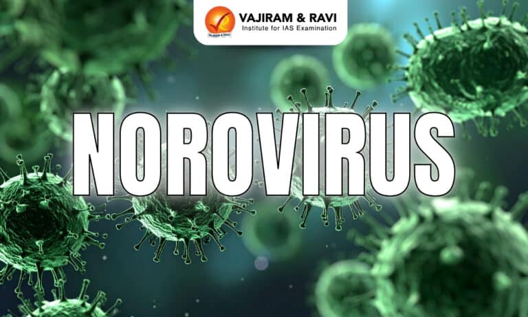 Norovirus