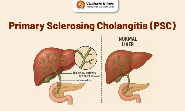 Primary Sclerosing Cholangitis (PSC)